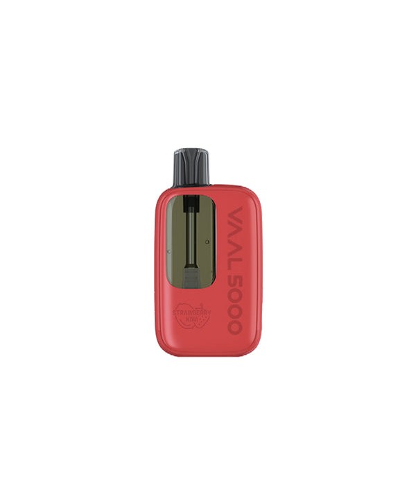 Vaal 5000 Pod System Kit 570mAh 5000 Puffs